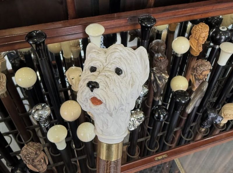 A display of antique walking canes with carved handles, including a white terrier head, seen in London.